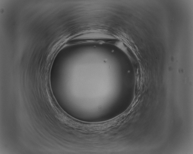 X0000070860001200606231304