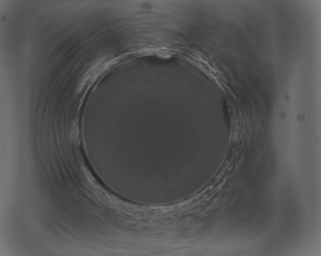 X0000070860002200606231304