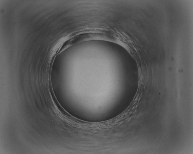 X0000070860003200606231304