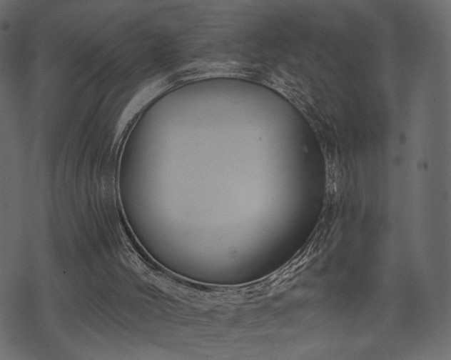 X0000070860004200606231304