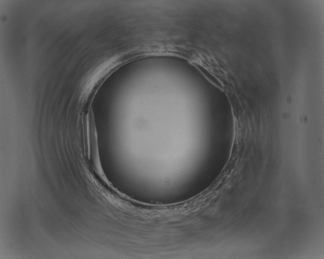 X0000070860005200606231304