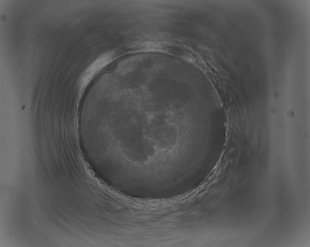 X0000070860006200606231304