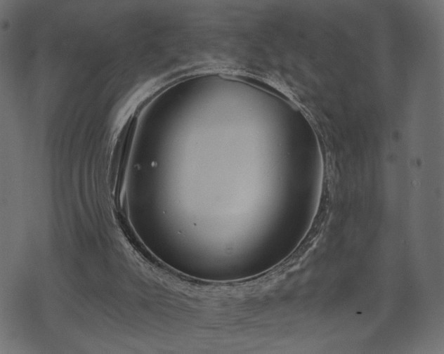 X0000070860007200606231304