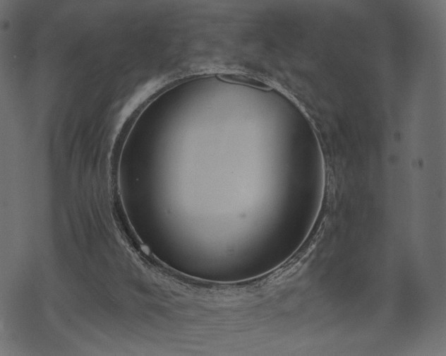 X0000070860008200606231304