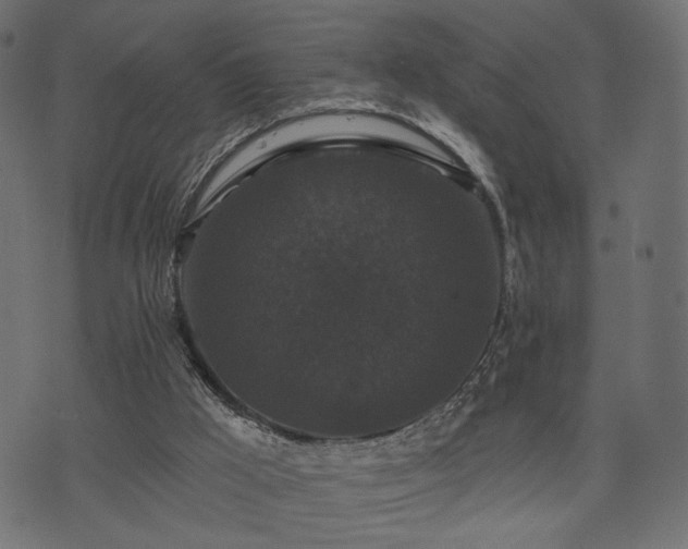 X0000070860009200606231304