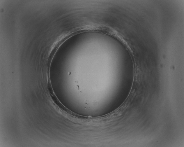 X0000070860011200606231304