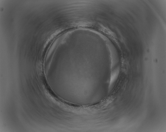 X0000070860012200606231304