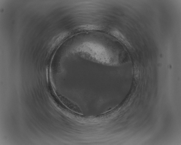 X0000070860014200606231304