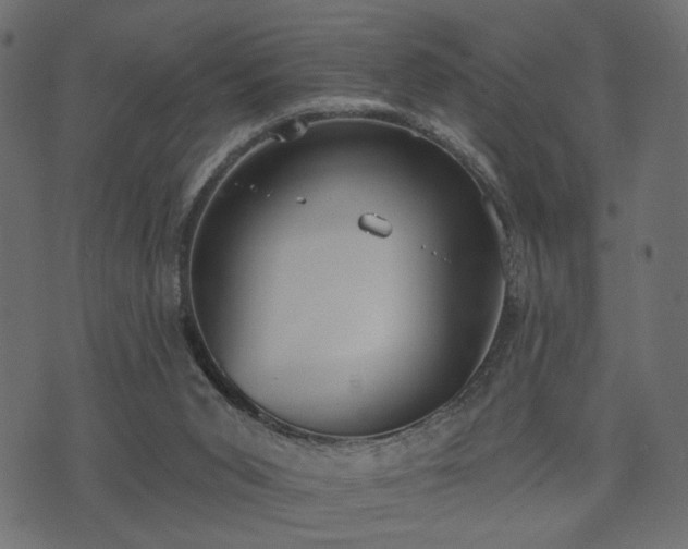 X0000070860015200606231304