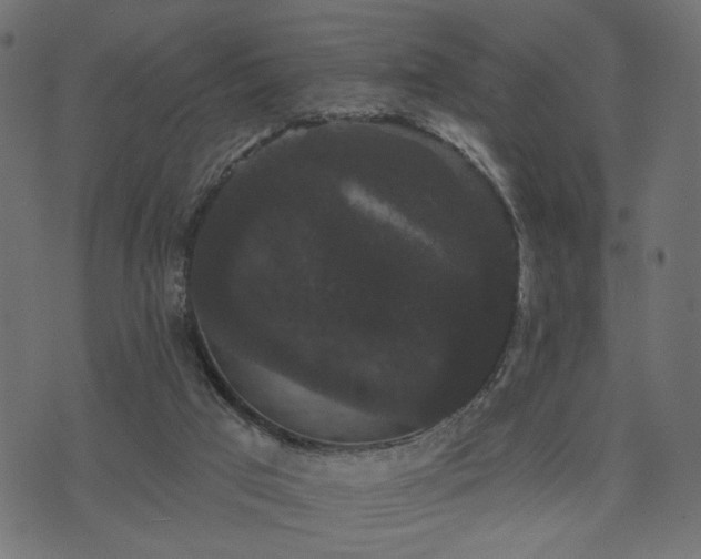 X0000070860017200606231304