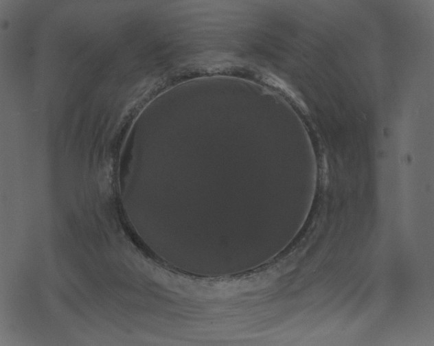 X0000070860018200606231304