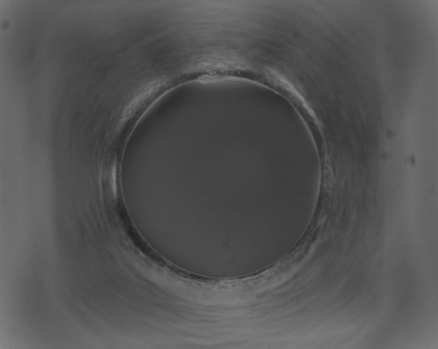 X0000070860019200606231304