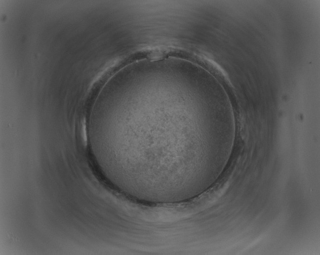 X0000070860020200606231304