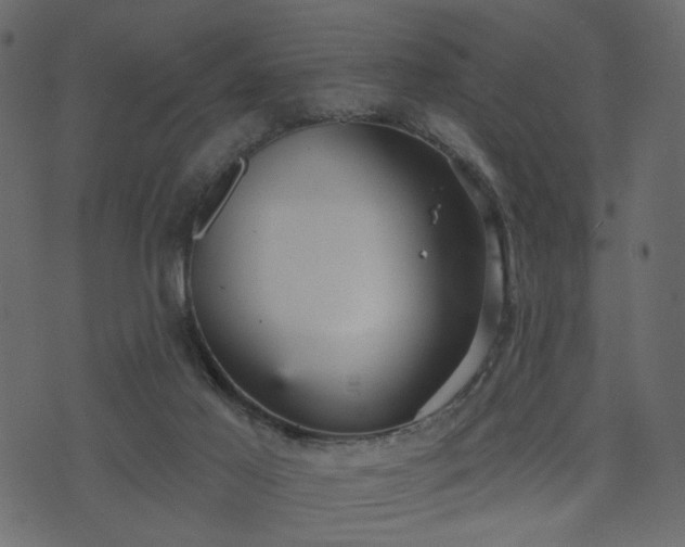 X0000070860021200606231304