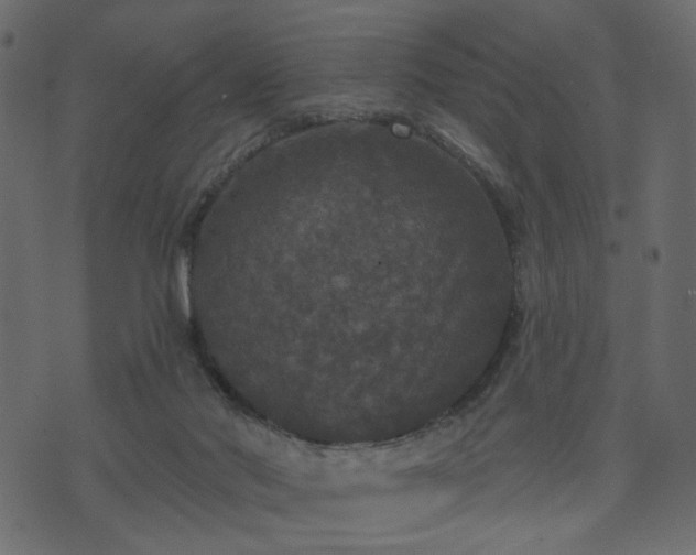 X0000070860022200606231304