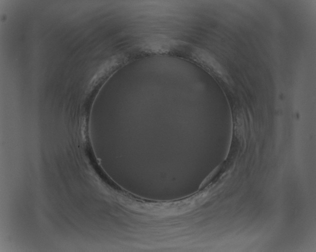 X0000070860023200606231304