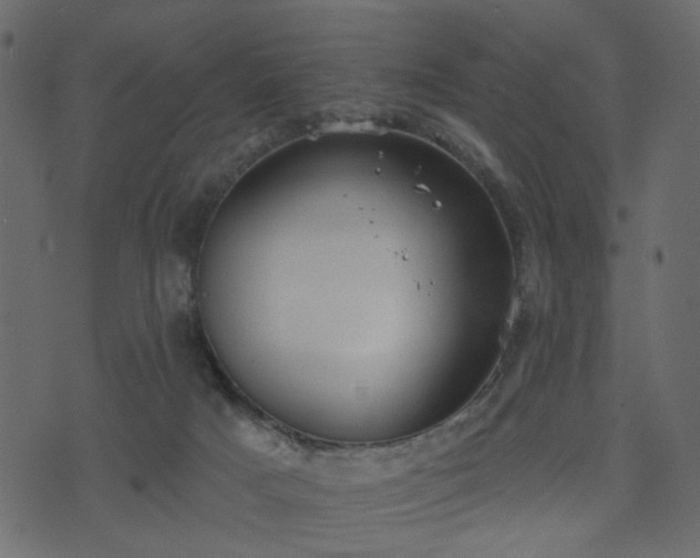 X0000070860025200606231304