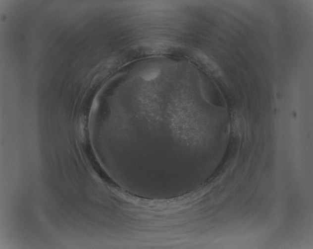 X0000070860026200606231304