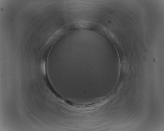 X0000070860027200606231304