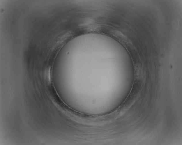 X0000070860028200606231304