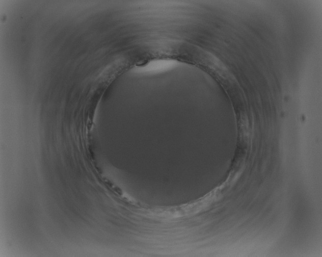 X0000070860029200606231304