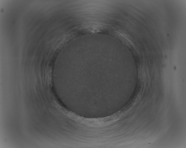 X0000070860030200606231304