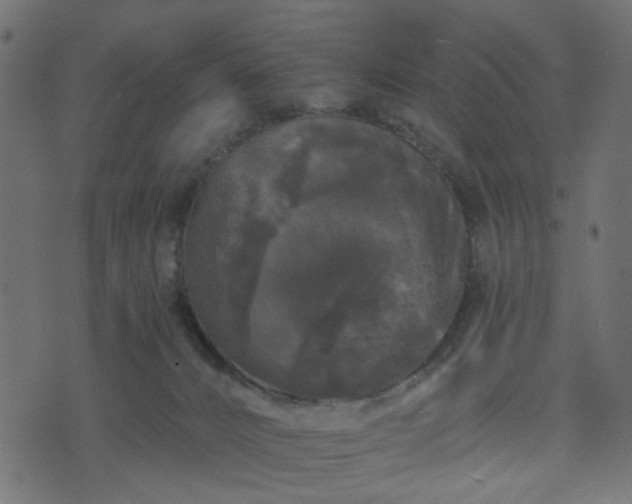 X0000070860032200606231304