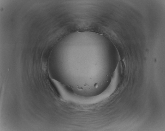 X0000070860033200606231304