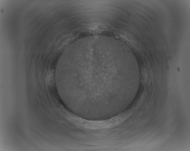 X0000070860034200606231304