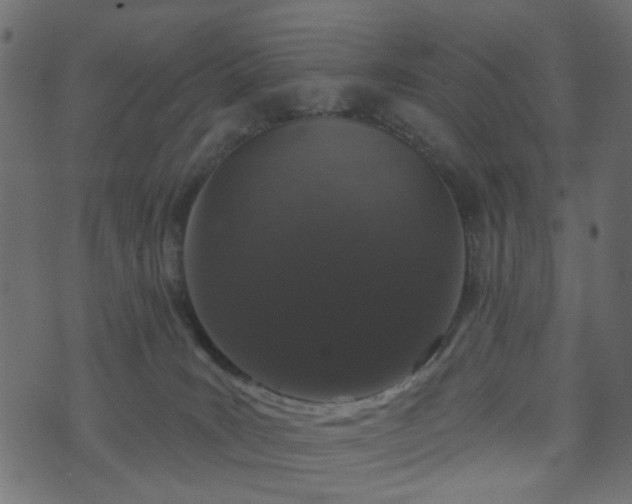 X0000070860035200606231304