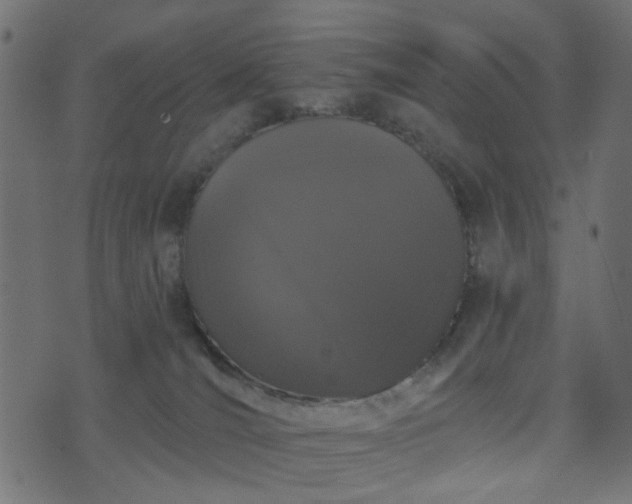 X0000070860036200606231304