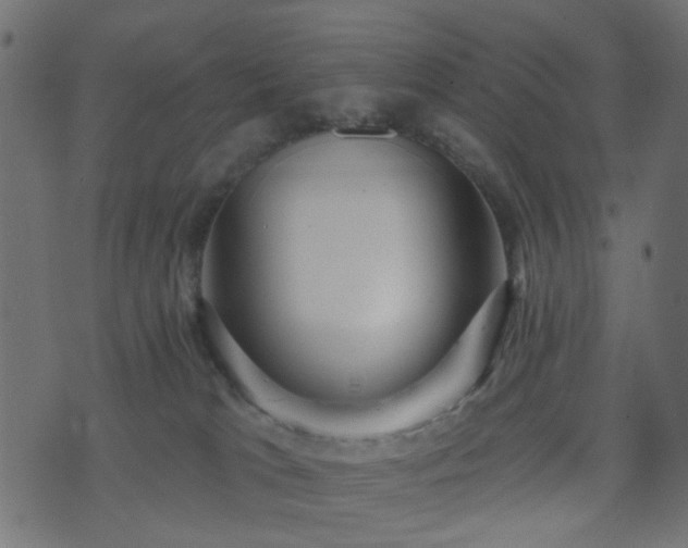 X0000070860037200606231304