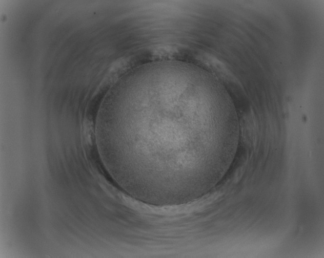 X0000070860038200606231304