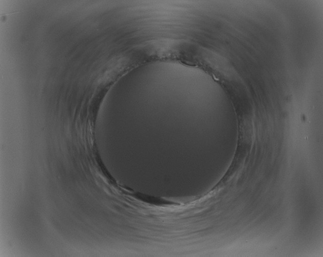 X0000070860039200606231304