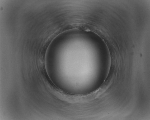 X0000070860040200606231304