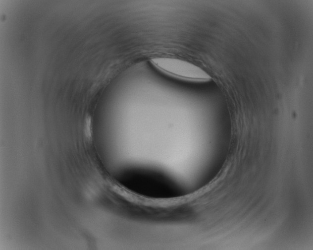 X0000070860041200606231304