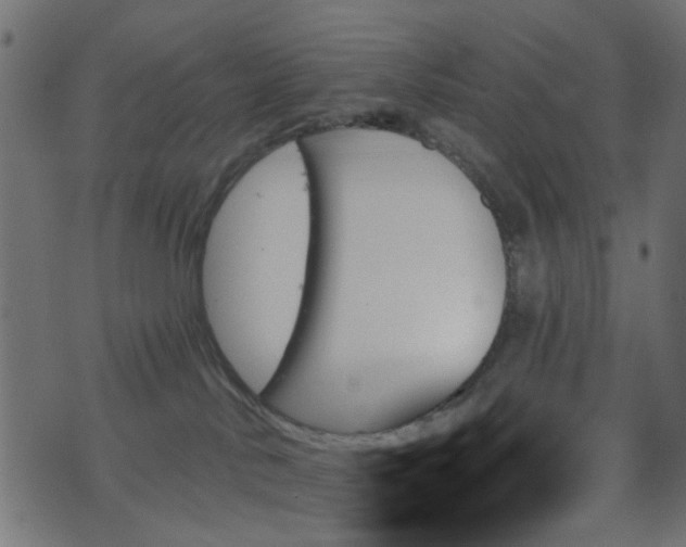 X0000070860042200606231304