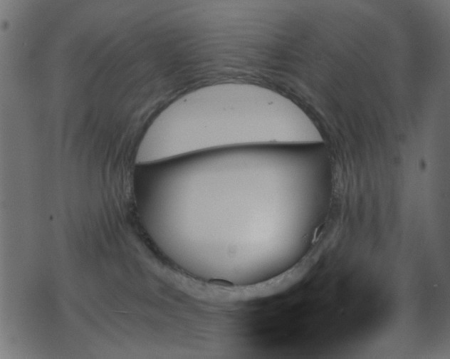 X0000070860043200606231304