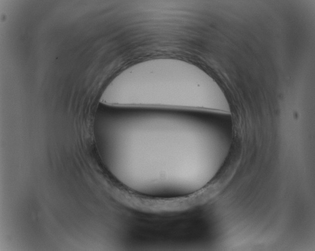 X0000070860044200606231304