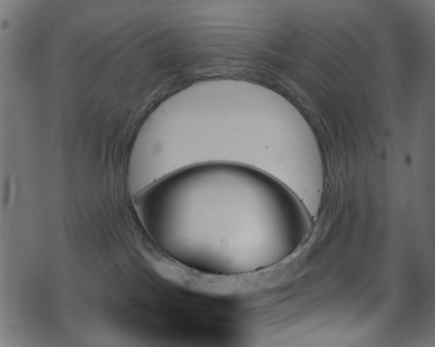 X0000070860045200606231304