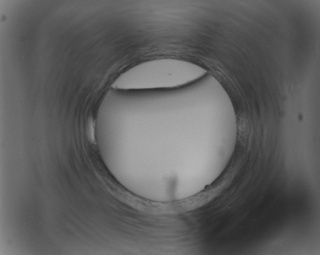 X0000070860046200606231304