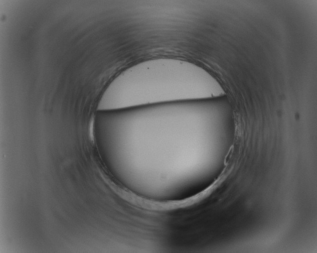 X0000070860047200606231304