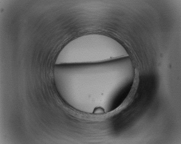 X0000070860048200606231304