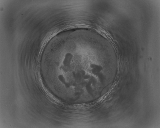 X0000070860049200606231303