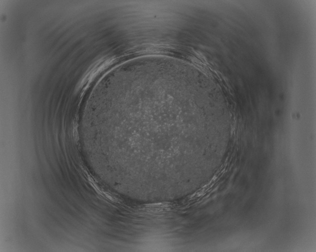 X0000070860050200606231303