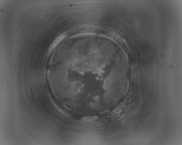 X0000070860051200606231303