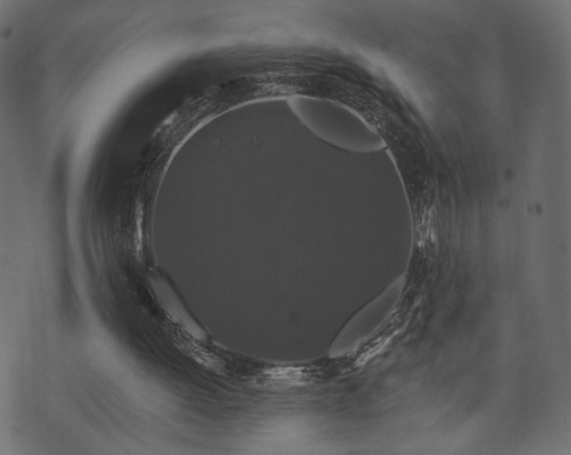 X0000070860052200606231303