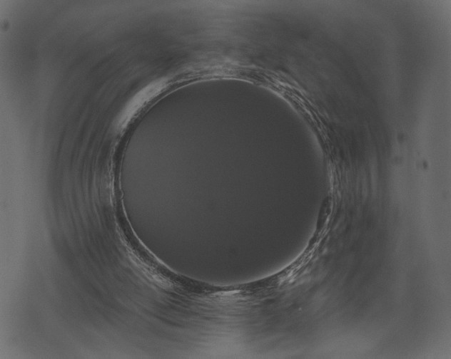 X0000070860054200606231303