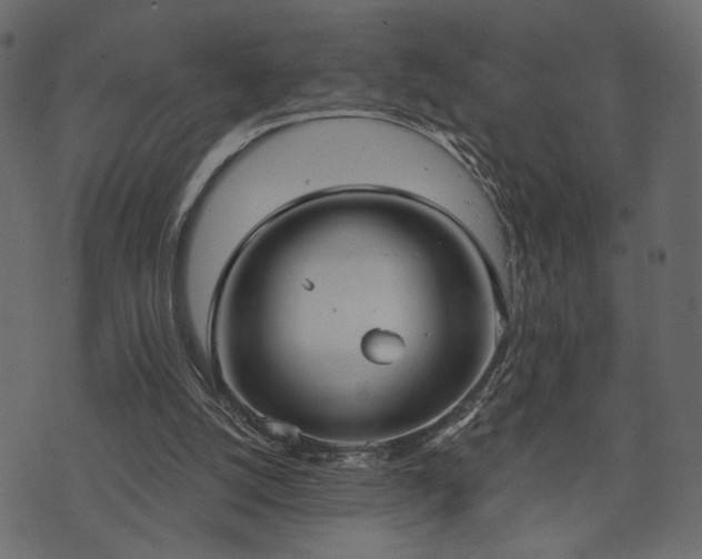 X0000070860056200606231303