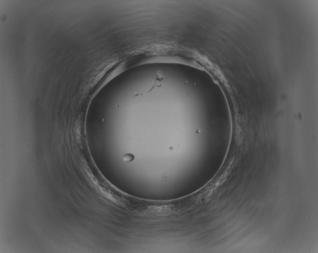 X0000070860057200606231303